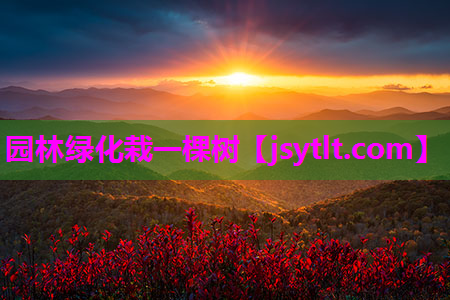 园林绿化栽一棵树