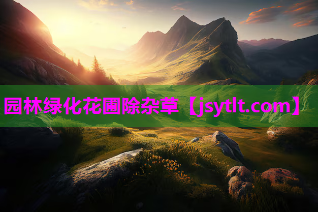 园林绿化花圃除杂草